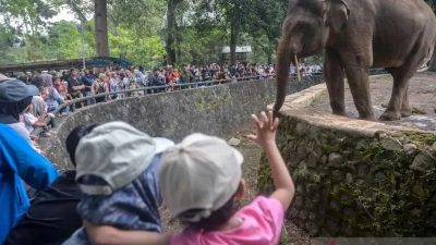 80.790 Wisatawan Kunjungi Ragunan pada H+2 Lebaran