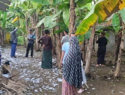 Racik Petasan Jumbo Sebesar Paha, 2 Pemuda Luka Parah Terkena Ledakan