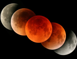 Sore Ini! Blood Moon Sapa Seluruh Indonesia, Cek Jadwal Puncak dan Cara Lihatnya