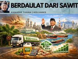 Berdaulat dari Sawit