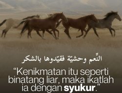 Kenikmatan Itu Seperti Binatang Liar