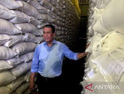 Mentan: Stok Beras RI Stabil 4,5 Juta Ron di Tengah Gejolak Timteng