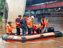 Gila! Jaktim ‘Panen’ 763 Kg Ikan Sapu-Sapu dalam Semalam, Ternyata Mengandung Logam Berat!
