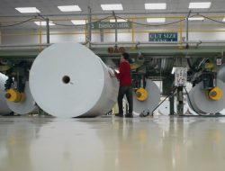 Indonesia Jadi Raksasa Kertas Dunia, Ekspornya Tembus Angka Fantastis