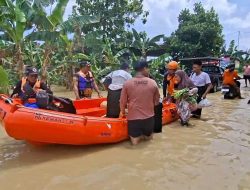 Banjir Demak: 4 Kecamatan Terendam, Ratusan Hektare Sawah Jadi Lautan!