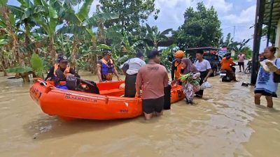 Banjir Demak: 4 Kecamatan Terendam, Ratusan Hektare Sawah Jadi Lautan!