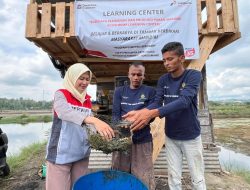 Desa Terpencil di Aceh Jadi ‘Juragan’ Listrik Matahari, Omzetnya Bikin Melongo!