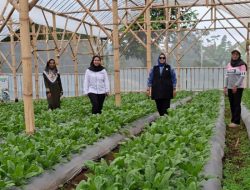 Modal Kotoran Sapi, Ibu di Bandung Barat Ini Sukses Kuliahkan Anak & Gak Perlu Beli Gas Lagi!