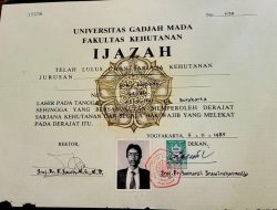 Dana Rp 50 Miliar Diduga Mengalir Demi Goreng Isu Ijazah Jokowi, Ini Sosoknya