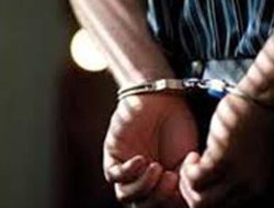 Diduga Tipu Anggota DPR Ahmad Sahroni, Perempuan Ngaku-ngaku Pegawai KPK Ditangkap Polisi