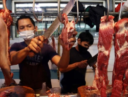 Harga Pangan ‘Menggila’! Cabai hingga Daging Kompak Terbang, Cek Daftar Lengkapnya!