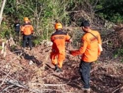 Titik Koordinat Terdeteksi! Inilah Daftar Nama Penumpang Helikopter yang Hilang di Kalbar