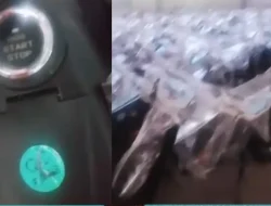 Video Viral Puluhan Ribu Motor Listrik Berlogo BGN untuk Operasional SPPG