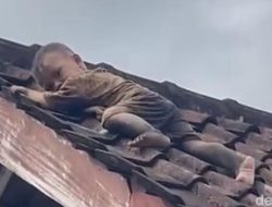 Viral! Aksi Nekat Balita 2 Tahun di Lombok Merayap Santai di Atas Genteng