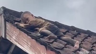 Viral! Aksi Nekat Balita 2 Tahun di Lombok Merayap Santai di Atas Genteng