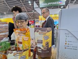 Keren! Sagu Papua ‘Go International’, Cookies Japamo Bikin Jepang dan Korea Kepincut