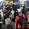 KRL Green Line Rute Tanah Abang-Rangkasbitung Sempat Terganggu, Hari Ini Beroperasi Normal