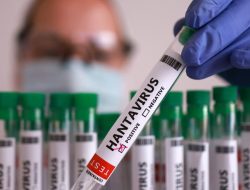 Waspada Hantavirus Tipe HFRS! Kemenkes Siagakan 21 RS Sentinel di 20 Provinsi