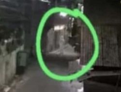 Bukan Hantu! Sosok Putih Misterius yang Gentayangan di Tangsel Ternyata Lakoni Profesi Ini