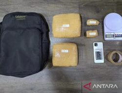 Polda Metro Gagalkan Peredaran Ganja seberat 2 Kilogram di Jatinegara