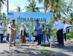 Aksi Nyata MenEPI untuk Bumi! PLN EPI Tanam 2.500 Pohon Cemara Udang di Pantai Induk Lombok