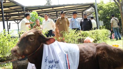 Sambut Idul Adha, AirNav Indonesia Gelontorkan Puluhan Hewan Kurban untuk Warga Tangerang!