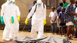 WHO Tetapkan Status Wabah Ebola di Kongo dan Uganda sebagai Darurat Kesehatan Internasional
