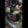 Dramatis! Ibu Rumah Tangga Obesitas di Situbondo Terperosok ke Septic Tank 4 Meter