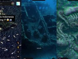 Geger Penampakan ‘Alien’ Xenomorph di Dasar Laut Bali, Ternyata Ini Fakta Sebenarnya!