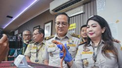 Aksi Nekat Turis Thailand di Bandara Soetta: Sembunyikan Satwa Liar di Dalam Legging dan Kaus Kaki!