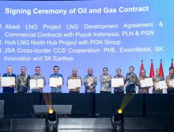 Gila! PLN EPI Borong Kontrak Gas Rp 360 Triliun Demi Amankan Listrik Se-Indonesia