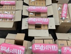 Aspri YouTuber Kondang Diperiksa Bareskrim Terkait Borong 20 Tabung Gas ‘Whip Pink’