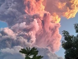 Gunung Lewotobi Laki-Laki Meletus Dahsyat, Kolom Abu 2.000 Meter Tutup Dua Bandara!