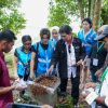 Ciptakan UMKM Hijau Mandiri, Langkah Nyata PLN EPI Jaga Ekosistem Lewat Budidaya Lebah