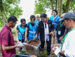 Ciptakan UMKM Hijau Mandiri, Langkah Nyata PLN EPI Jaga Ekosistem Lewat Budidaya Lebah