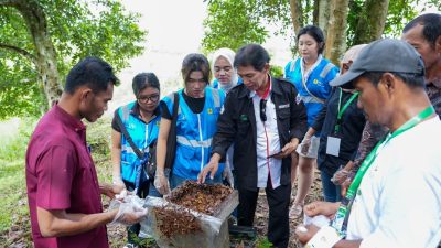 Ciptakan UMKM Hijau Mandiri, Langkah Nyata PLN EPI Jaga Ekosistem Lewat Budidaya Lebah