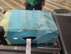 Selundupkan 7,8 Kg Hashish Asal Thailand, 2 Sejoli Asal Rusia Diciduk BNN di Bangli Bali!