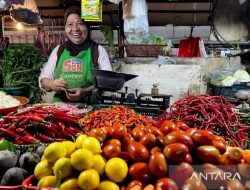 PIHPS: Harga Cabai Rawit Rp75.700/Kg, Telur Ayam Rp30.200/Kg