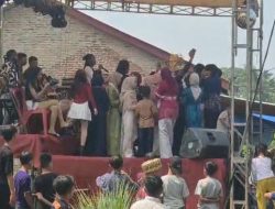 Gegara Bass Organ Tunggal, Kawanan Tawon Vespa Serang Hajatan di Lampung Selatan