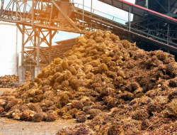 Siasat PLN EPI Sulap Limbah Cair Sawit Jadi Energi Hijau Penopang Listrik Sumatera