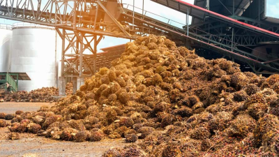 Siasat PLN EPI Sulap Limbah Cair Sawit Jadi Energi Hijau Penopang Listrik Sumatera