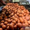 PIHPS: Harga Telur Ayam Rp29.300/kg, Bawang Merah Rp43.800 per Kg