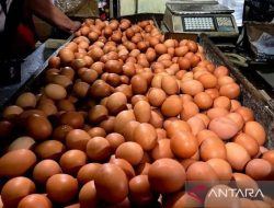 PIHPS: Harga Telur Ayam Rp29.300/kg, Bawang Merah Rp43.800 per Kg