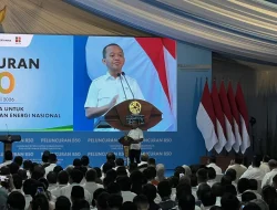 Intip Efek Domino Ugal-ugalan B50: Serap Jutaan Pekerja hingga Dongkrak Nilai Tambah CPO