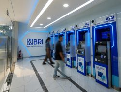 Hari Pajak Nasional: BRI Setor Rp 19,1 Triliun ke Negara di Kuartal I-2026!