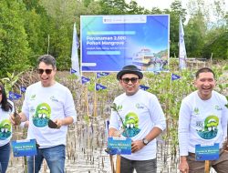 Hijaukan Pesisir Banggai, ASDP Tanam 2.500 Mangrove Dipantau Teknologi AI!