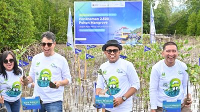 Hijaukan Pesisir Banggai, ASDP Tanam 2.500 Mangrove Dipantau Teknologi AI!