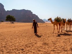Ancam 10 Negara, Gelombang Panas Ekstrem Bakal Panggang Wilayah Arab Hingga 50°C!