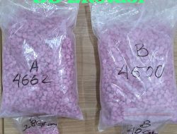 Siasat Bandar Ekstasi Malaysia Gagal Total! Kurir Pembawa 9 Ribu Butir Terjaring di Medan