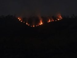 Kawasan Bromo Terbakar Sejak Senin Sore, Jalur Malang dan Lumajang Ditutup Total